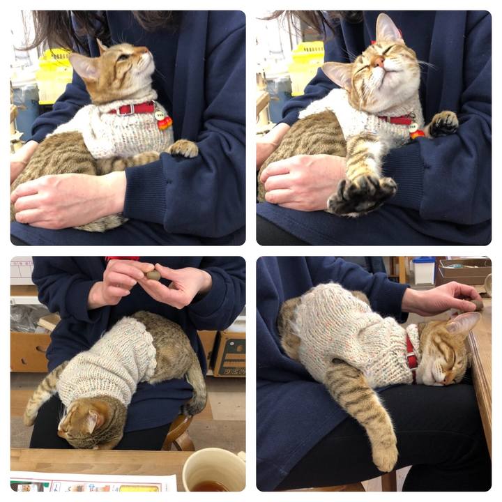 234b65d4 181e 4c3e 9751 49851ed5780d 1583553428611