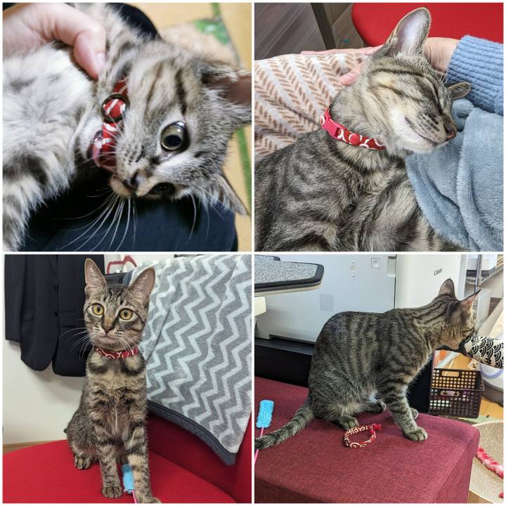 234b6a28 e3b7 43b7 83fa 22086d22ea79 1709181613933