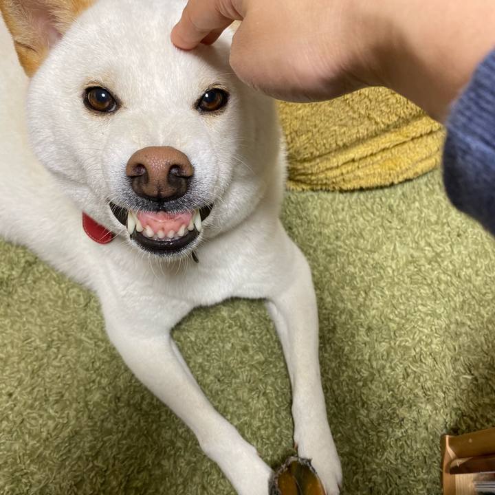 234b8256 b8d4 4c0c 9c18 59ea1d06c73d 1572511228714