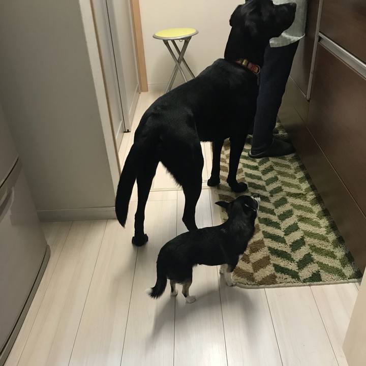 234bea54 f149 46c8 8c3b baed799bc24c 1523225554761