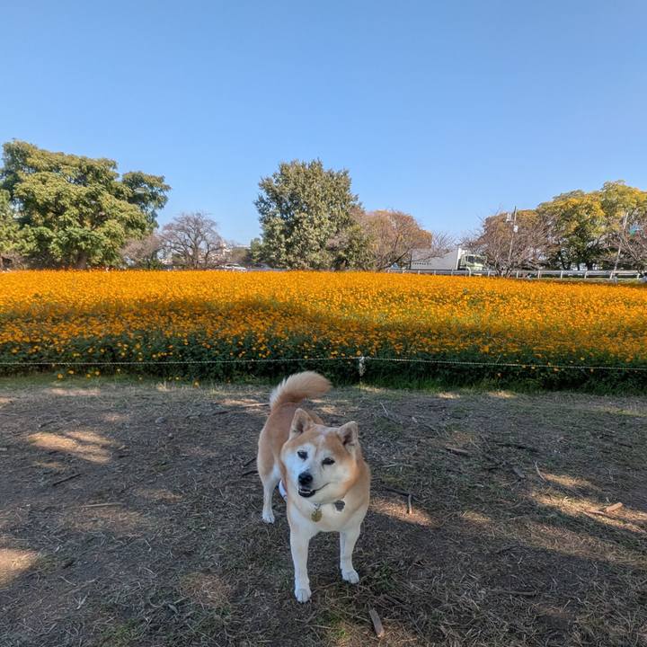 234c1ed8 12f7 4c59 9ebb 4d137eabe458 1763016354577