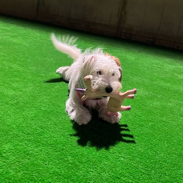 234c36f2 8b08 47de 8ba3 f174b71fb4d8 1725800844449