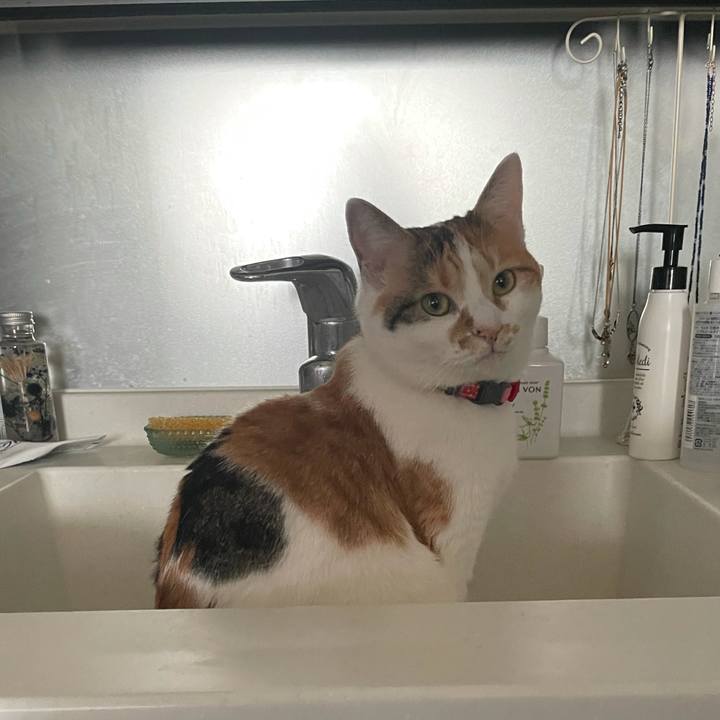 234c41c9 be8b 473d b43b 0a310fec20ba 1614915943980