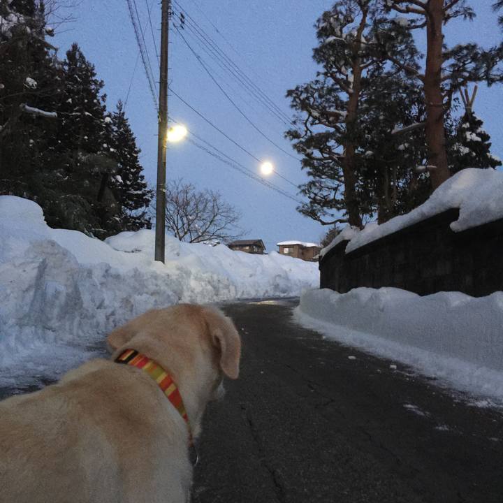 234c5bf2 ccd2 4141 95b2 5ef6b1acf2e0 1517521948950