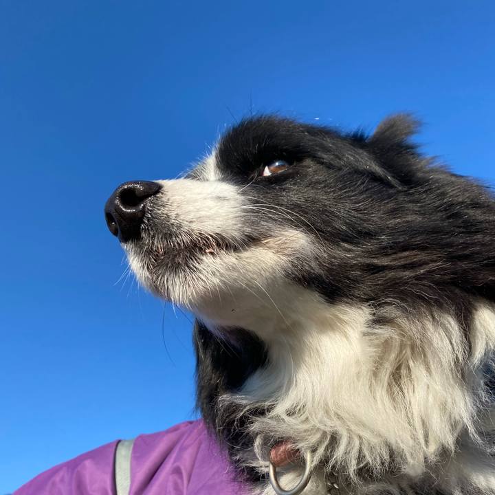 234c5d4e e307 4079 a833 ec741a4b3097 1675124448125