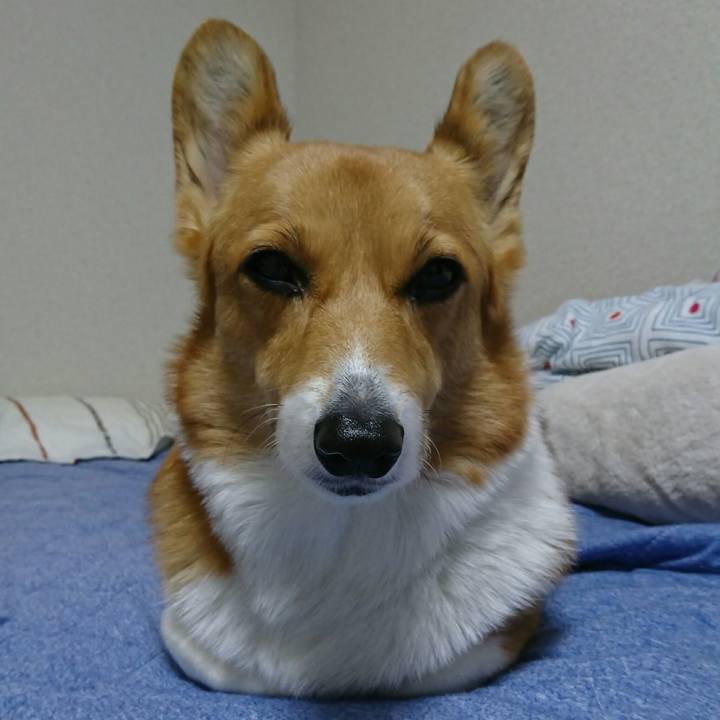 234c5f35 6425 422a 900e 48f4483d7377 1513075382666