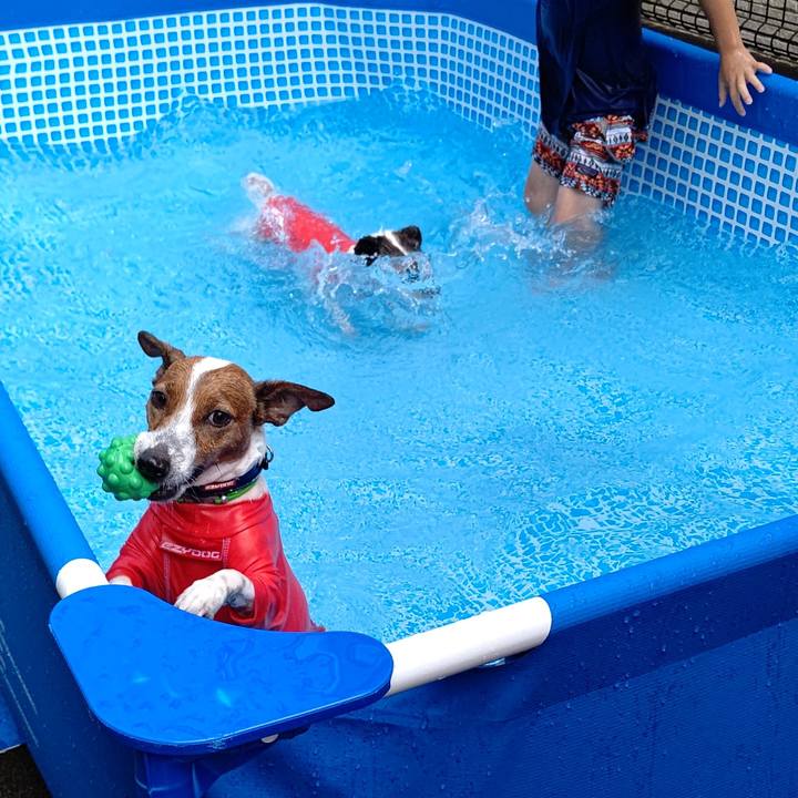 234c6675 87de 43b1 8328 915d0a305f9d 1659874798342