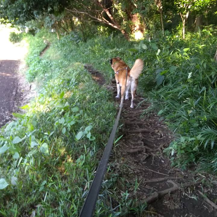 234ca0e1 c8f6 4152 8b62 229e60971f86 1564096841912