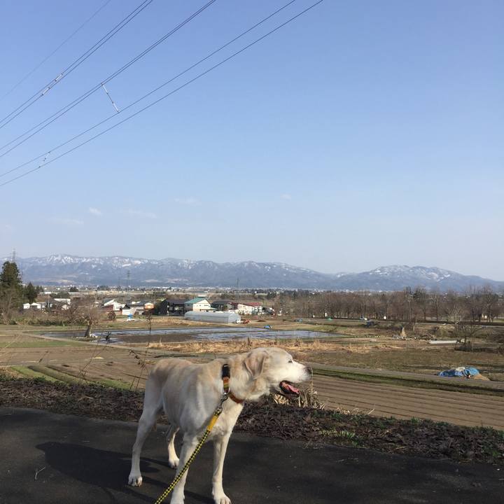 234cea7e a409 48e0 95bc 4266887bea52 1522740511814