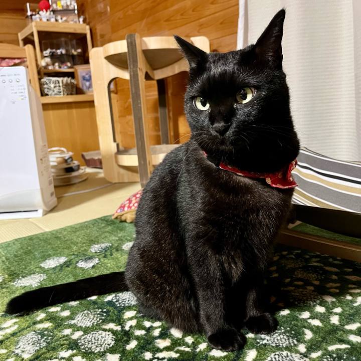 234d5861 f503 4b31 b863 5f9dec18b70f 1686836097733