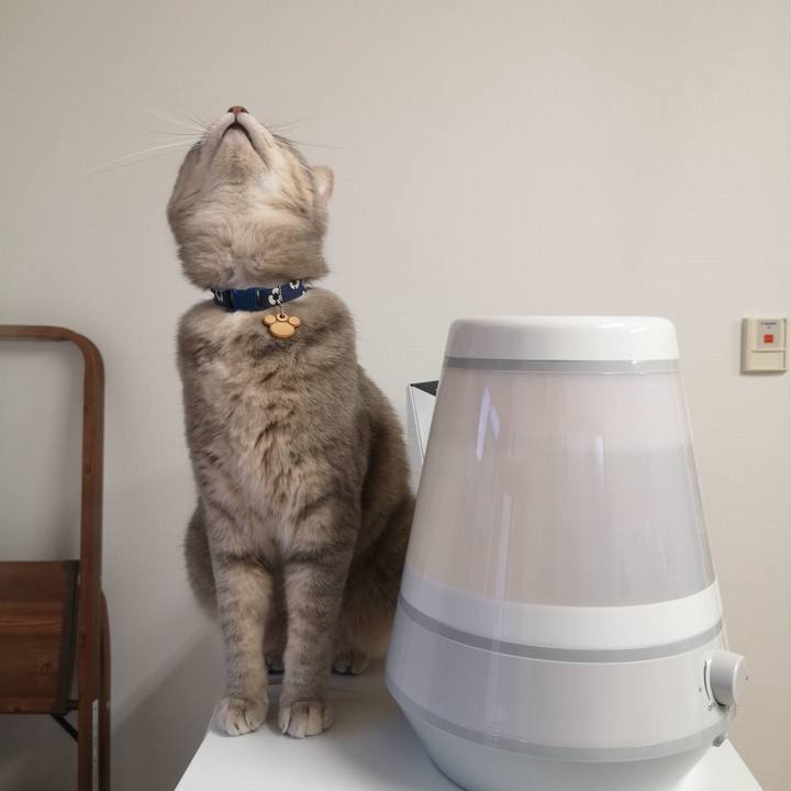 234d9e62 b427 4290 9bfe a89ff00eca76 1575338375927