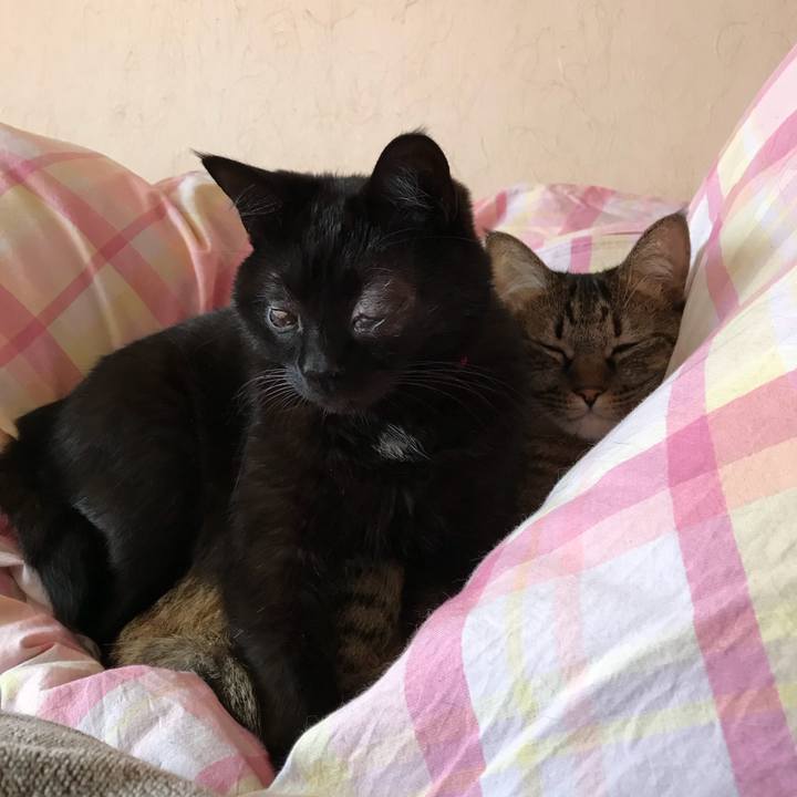 234dbfac f462 460b bbec b26ef3c919ff 1545574539648