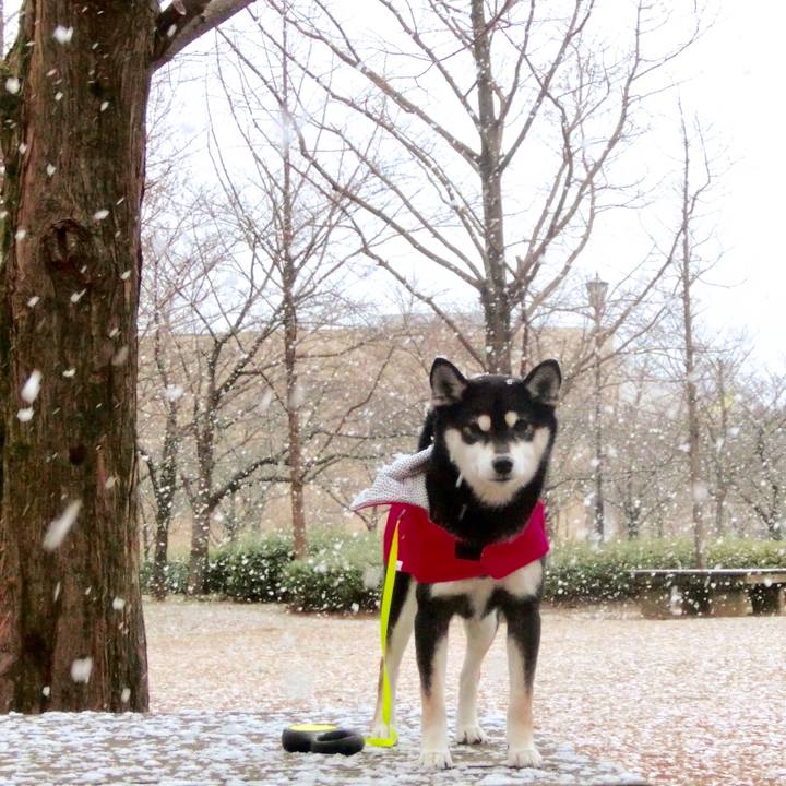 234e5bca 41c6 4561 9053 353af1f6e77b 1514895028681