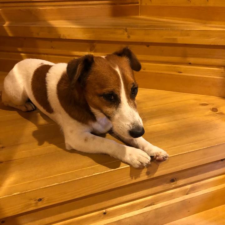 234eab0c 9f71 48cf 9284 b16557008435 1534041829710