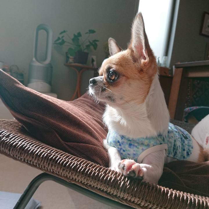 234eeff5 5f8b 4c6a 8bc7 d04b738e3a13 1568101555952