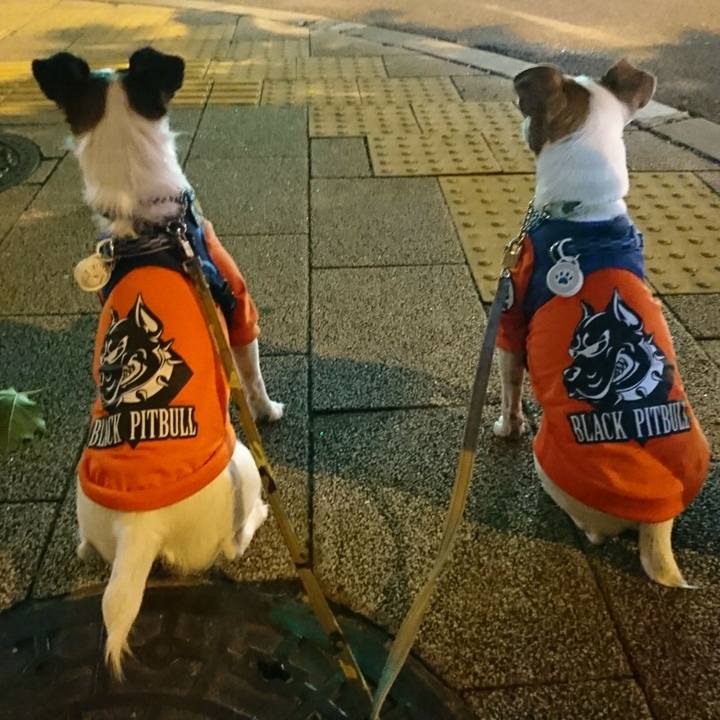 234ef445 cdc3 4767 bc5a 5fbd75c8c1bd 1570970015527