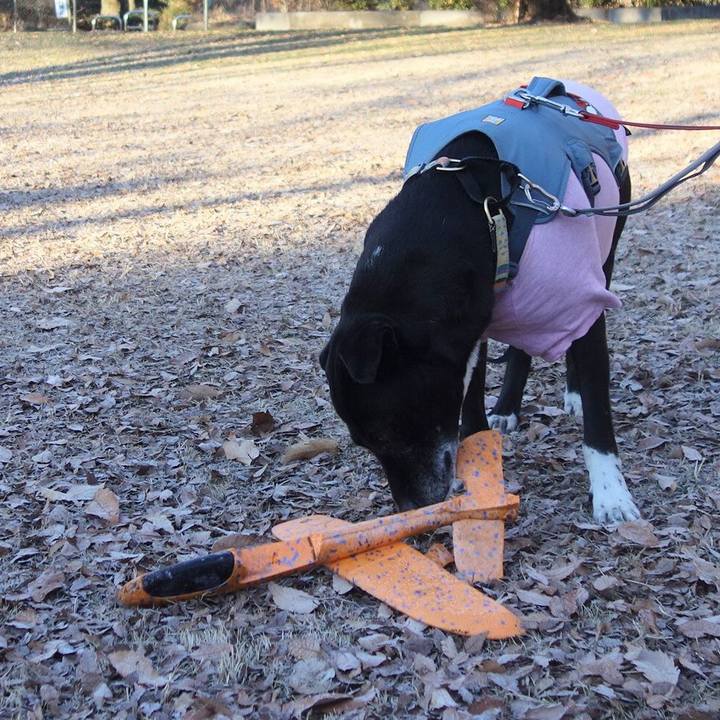 234f0534 32e2 455b 808e 7fa267d55183 1705020568616