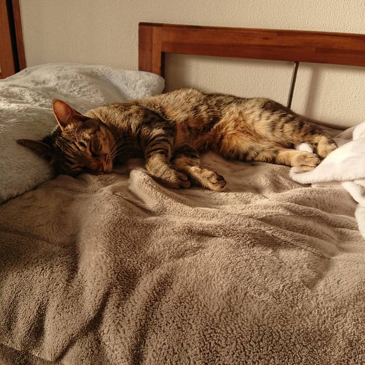 234f51e2 a964 4f7c be19 cf6e004efa16 1550906774874