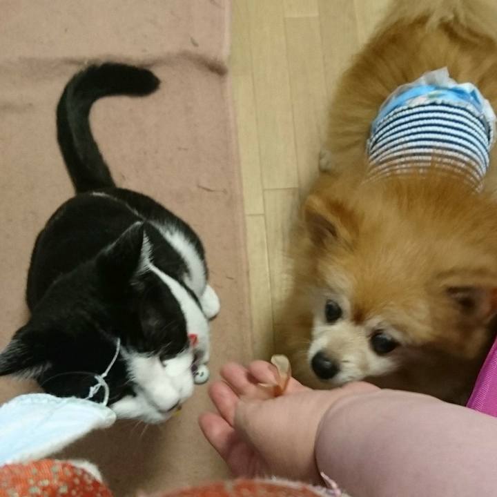 234f58f2 f87f 40d6 9875 3a66512a7161 1566115136249