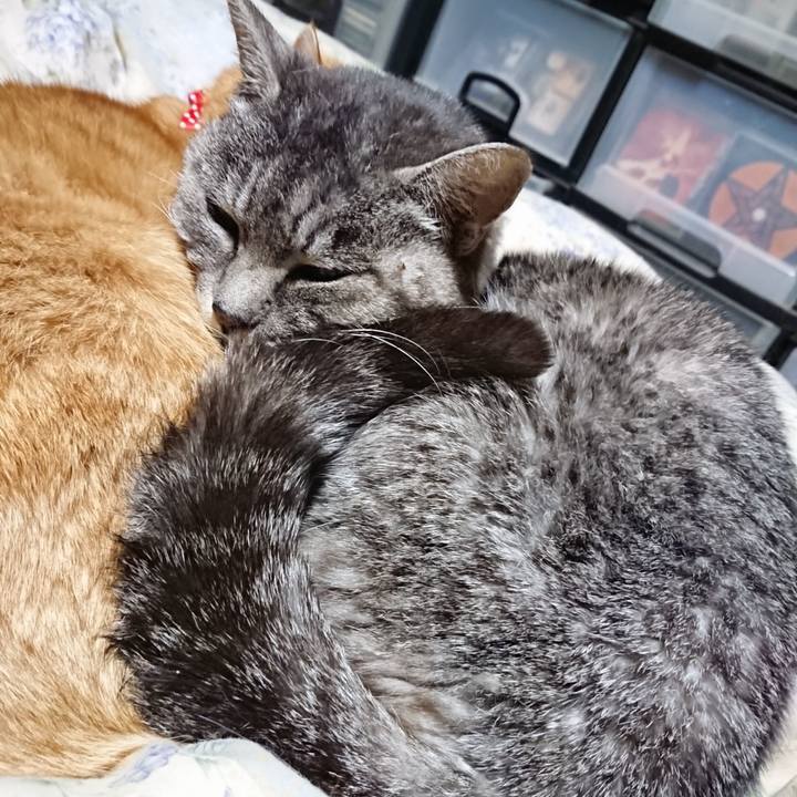 234f7237 3705 40da 85ce 5ac47f5b49f4 1576583841049