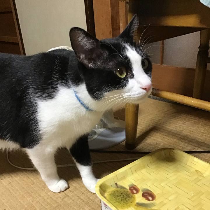 234f89e6 e71c 45e1 9a57 f89763077952 1692269767855