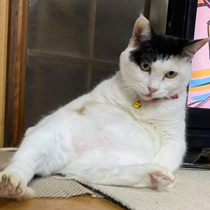 234f89f7 5b6d 4556 bab6 9a952240ebc3 1763637226156