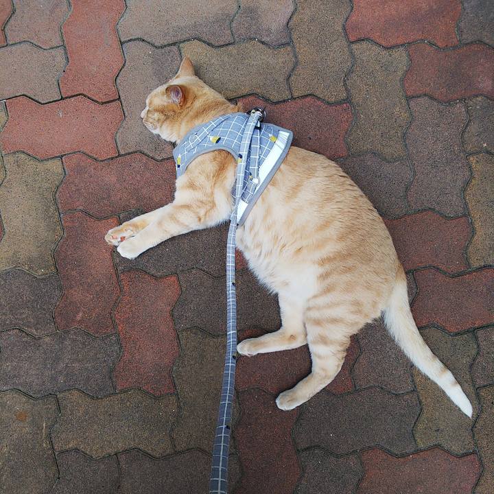 234fc975 69b2 4a13 a799 7aeb6384ab60 1687575078340