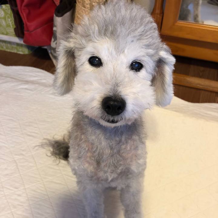 234fee9f 0d8e 4b01 aa52 f750cb8b2238 1566428659536