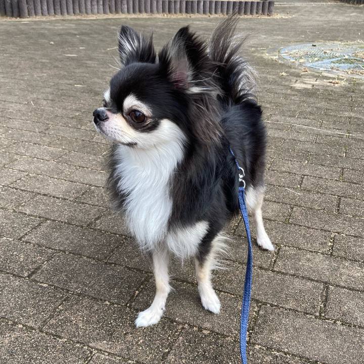 23506067 25d6 4279 bf7e d220cef51583 1664462098153