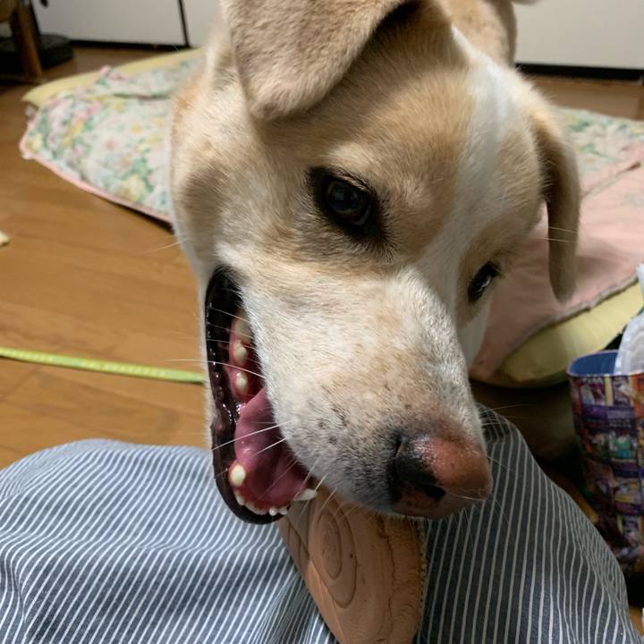 23509a50 e17d 4249 a24f 7c5c225c4627 1563461282784