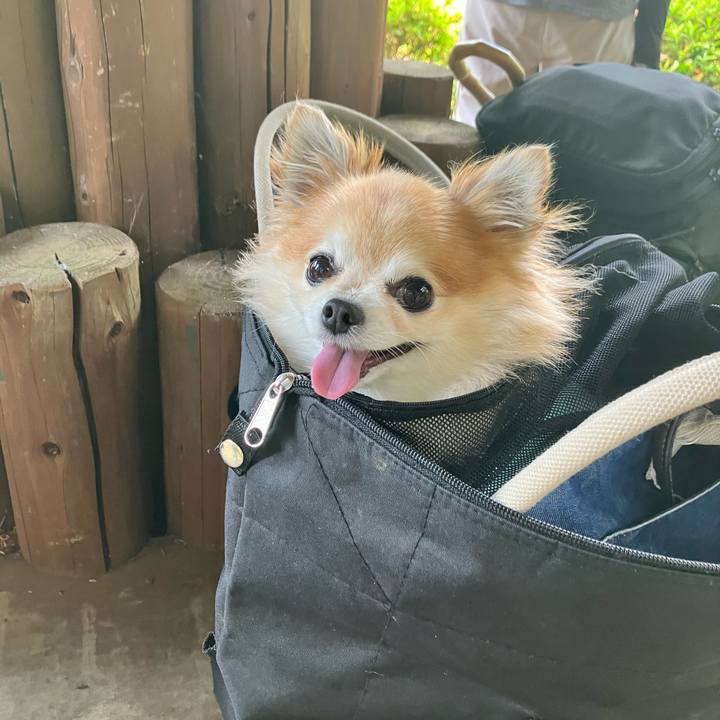 2350b85d 5dfd 4b01 914e 1d58f8a459e6 1756683165694