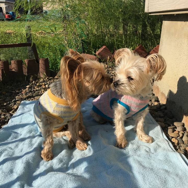 2350d502 1701 483e 9995 e8f24b0f019b 1748427832056