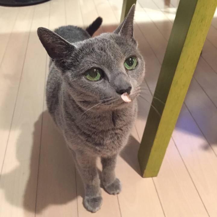 2350dece 1e24 47df bba3 d4fe78eec788 1555456324565