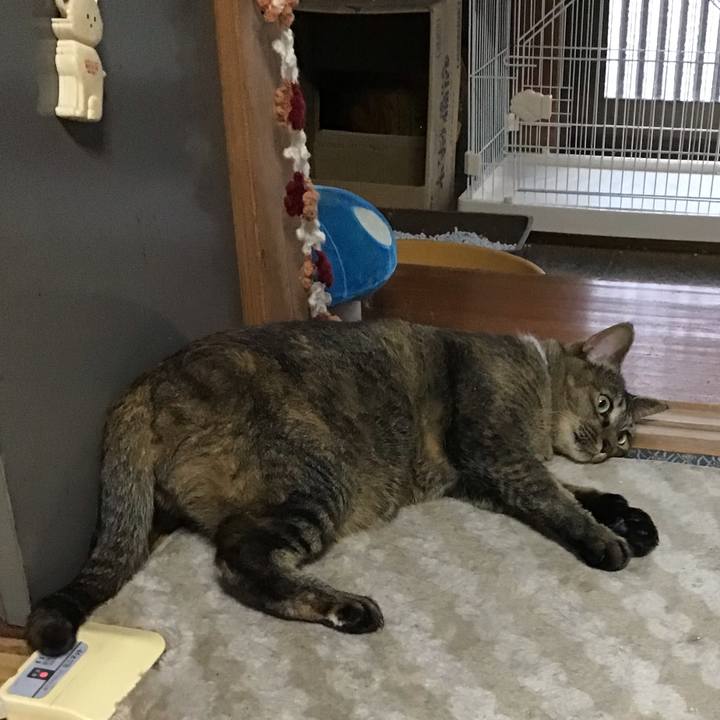 235103a3 926f 4cf7 ad41 5a3e17b8bceb 1665020874317