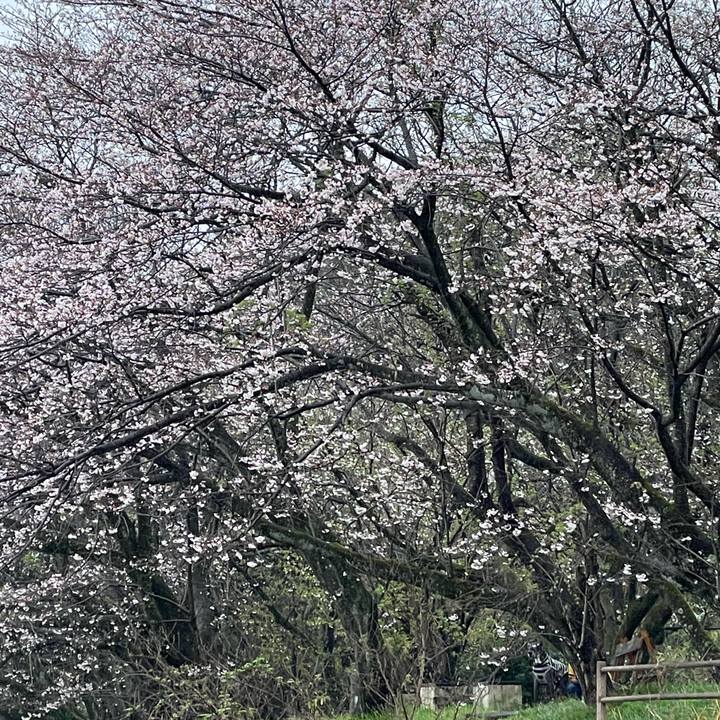 235109cb 2fcc 44e5 be3f 6f33138097f1 1648343907237