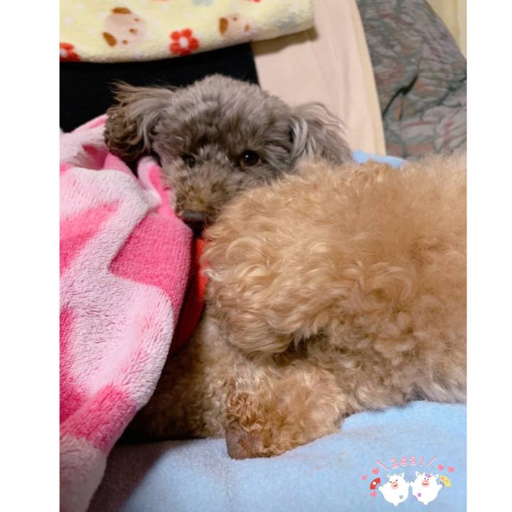 23510ecc f5ef 4426 b5b4 0cdef648c8de 1609544432878