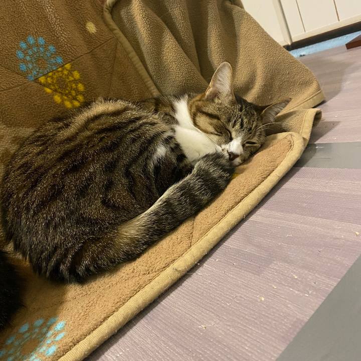 235159c4 bc75 466b 90b5 640670a44fe2 1646597332799