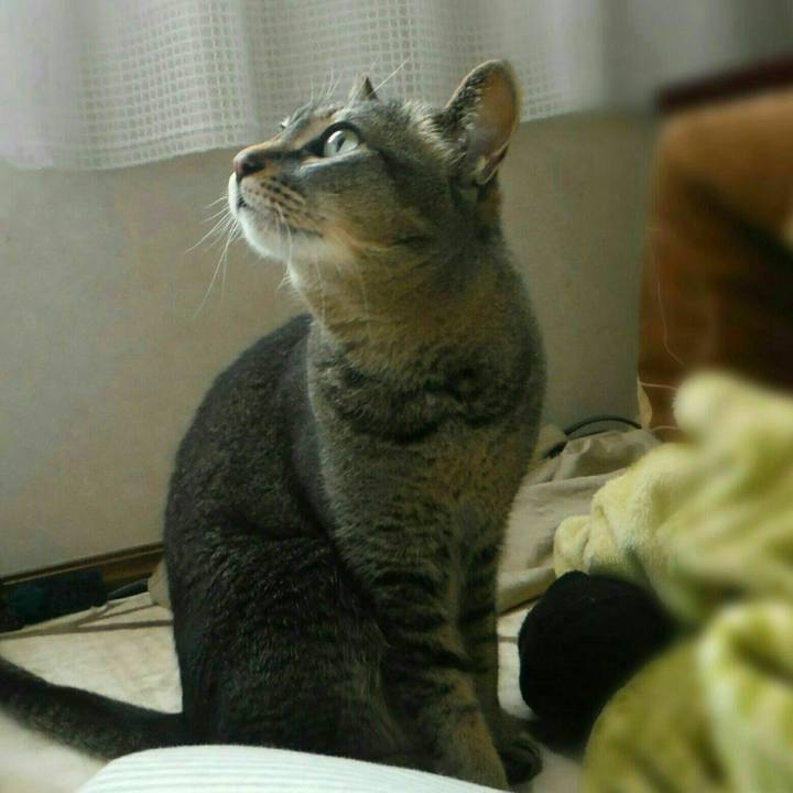 2351858e 7d1f 4544 a615 5574206e7eeb 1528781836807