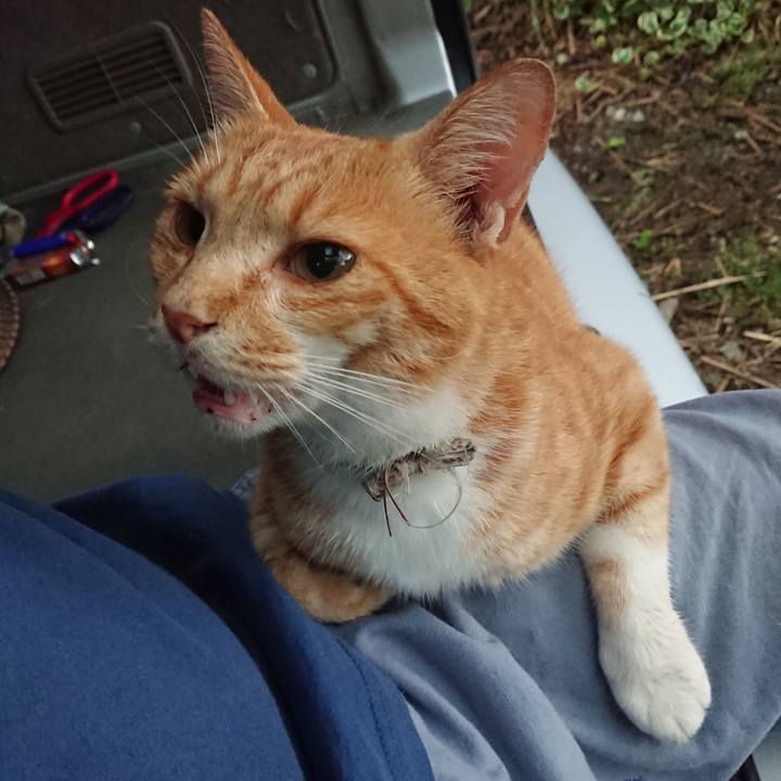 23519378 304f 44e6 ad97 fbe665fb2c53 1596140366082