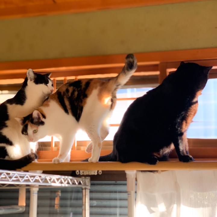 2351bb9f efee 4dec 9c66 88d9002f5c0b 1582075080801