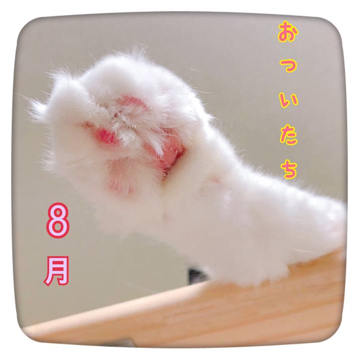 23520d27 de97 4459 9694 57617b14736f 1533112712094