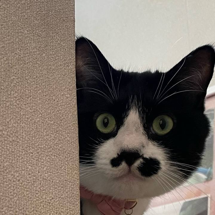 2352308d 8884 40d0 b8ec 3ac45f632e4e 1750546819299