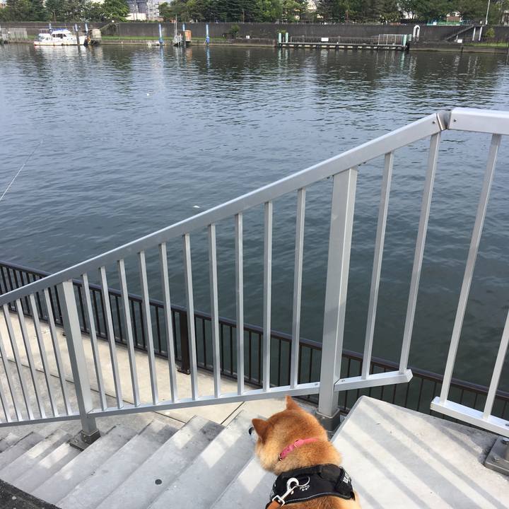 235248ae 835b 4250 a1bc 48a014d1c1d4 1597018877026