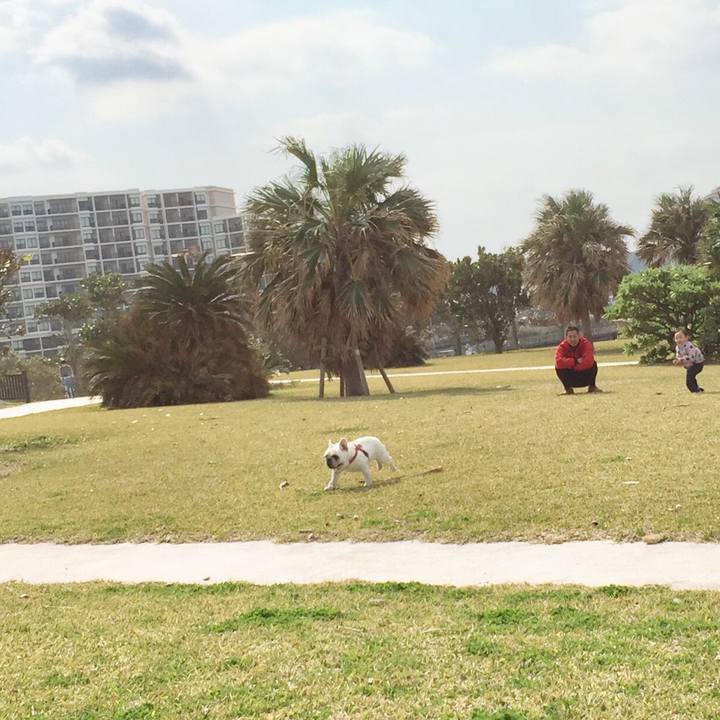 23525320 8c81 47ca a1b6 9bd5ca519a10 1518964042943