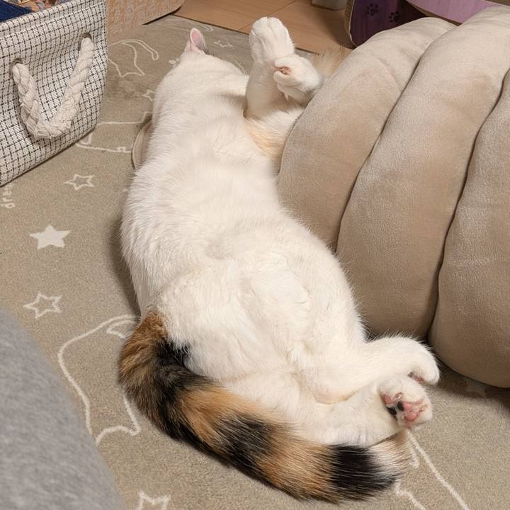 2352673e 352a 4964 b96e 7ba7d453e95b 1734183293774