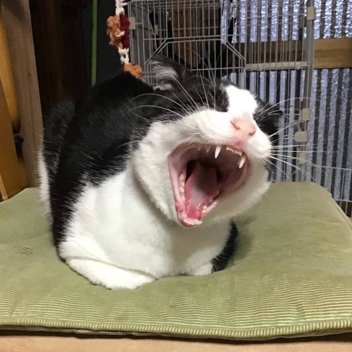 235281eb 1213 4799 907e 03b430e4a6fd 1637479691066