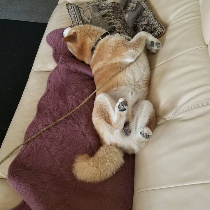 235294bb 3558 41ca bedf 2264c9ee0a98 1694926798391