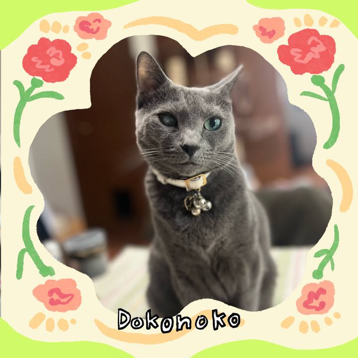 235297c0 adaf 4637 8bc2 4f1aca35c412 1715474581803