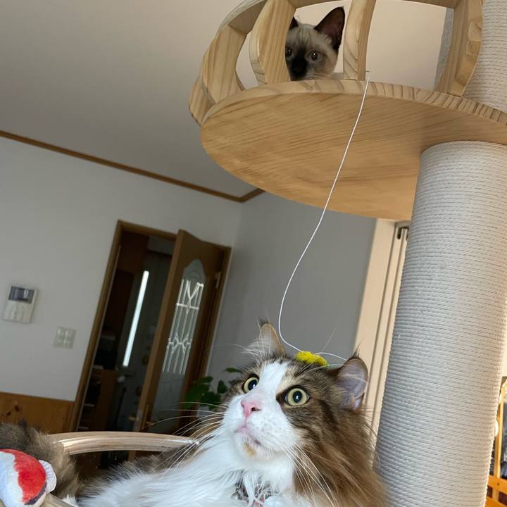 2352d24d 1278 4908 8af6 564a15f34621 1693950835684