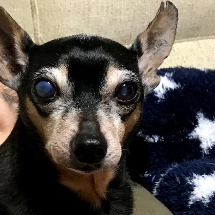 2352d7b5 8b6d 4b50 aeaf e9abbc7c3af6 1582421008464